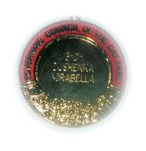 Bella's Grand Champion medal